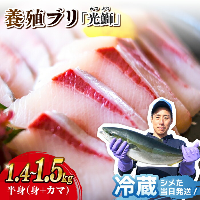 楽天市場】【ふるさと納税】【着日指定】「光鰤」ブリ ブロック