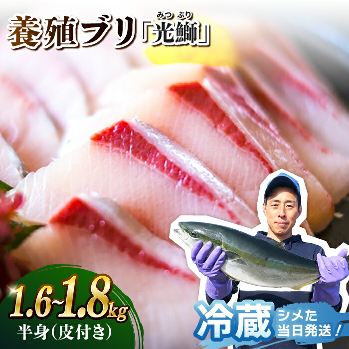 【ふるさと納税】【着日指定】「光鰤」ブリ ブロック 半身 皮付き 約1.6～1.8kg＜小山水産＞ [CDZ005]  鮮魚 ブリ 刺身 ぶり 産地直送 新鮮 海の幸 着日指定 魚 ブロック 下処理済み 冷蔵