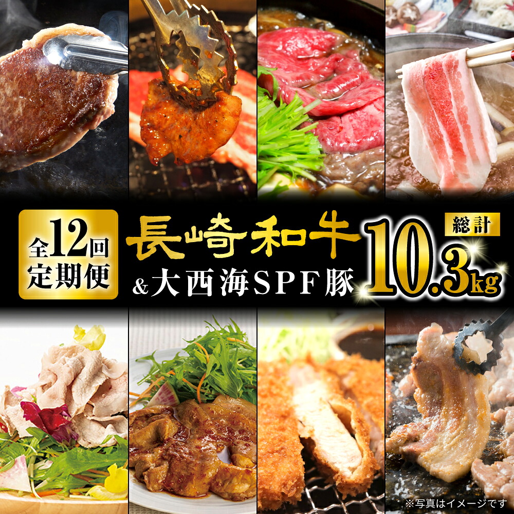 【ふるさと納税】【オールスター定期便☆】【12回定期便】 長崎和牛 大西海SPF豚 定期便 ブランド国産豚＜大西海ファーム＞ [CEK186]