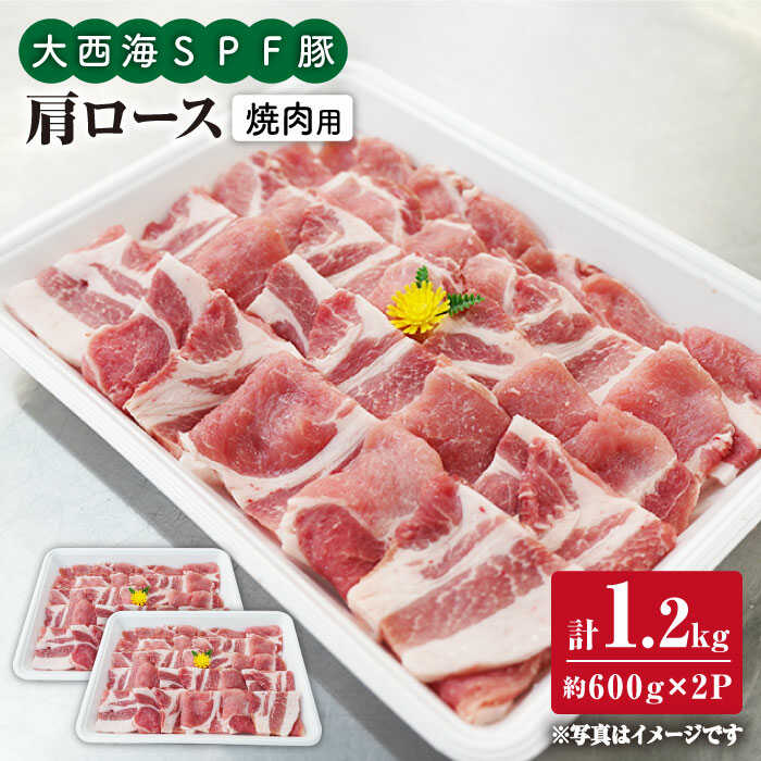 【ふるさと納税】【訳あり】【今夜は焼肉パーティ♪】大西海SPF豚 肩ロース（焼肉用）計1.2kg（600g&times;2パック）＜大西海ファーム＞ [CEK035]｜長崎県西海市
