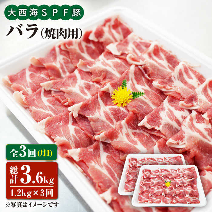 【ふるさと納税】【訳あり】【月1回1.2kg&times;3回定期便】大西海SPF豚 バラ（焼肉用）＜大西海ファーム＞ [CEK082]｜長崎県西海市