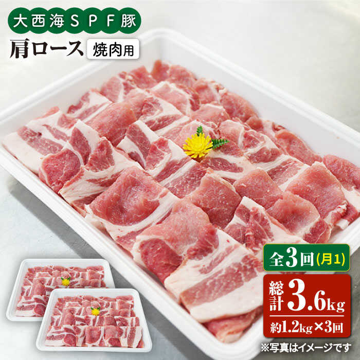 【ふるさと納税】【訳あり】【月1回1.2kg&times;3回定期便】大西海SPF豚 肩ロース（焼肉用＜大西海ファーム＞ [CEK090]｜長崎県西海市
