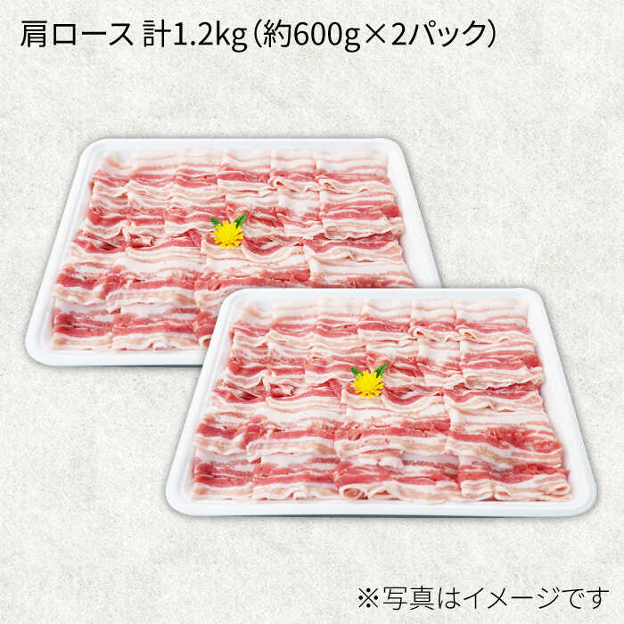 国内正規品 ふるさと納税 【訳あり】【12回定期便】【万能スライス】大西海SPF豚 国産豚 豚肉4種類 1.2kgセット 【 大西海ファーム食肉加工センター】[CEK165.. 長崎県西海市