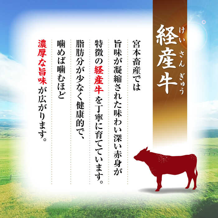 クラシック 九州産黒毛和牛 国産豚 切り落とし 計12kg 約2kg×6回 宮本畜産 CFA023 pacific.com.co