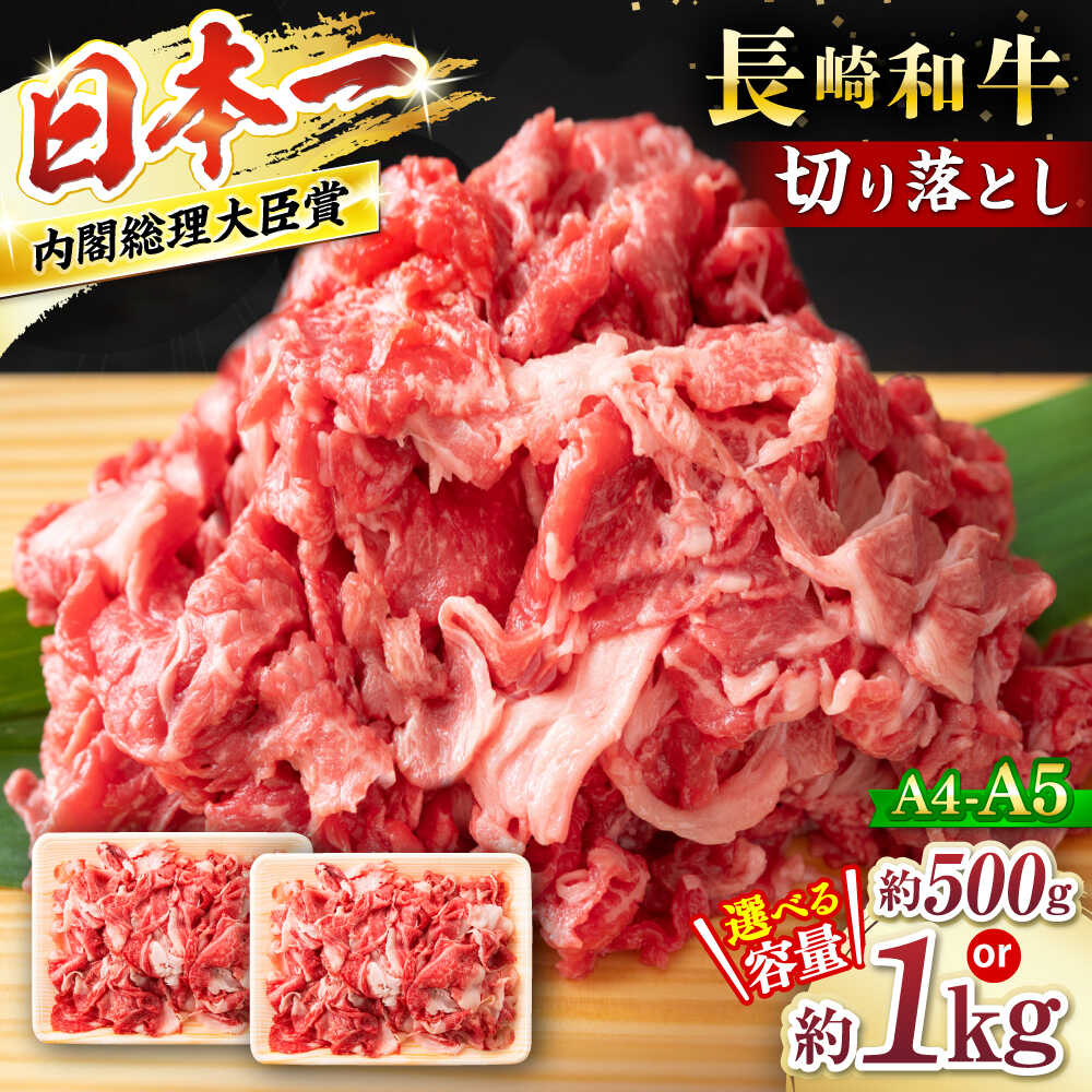 【ふるさと納税】【☆選べる容量☆】A4～A5 長崎和牛 切り落とし＜株式会社MEAT PLUS＞[CFT003] 長崎 西海 和牛 牛肉 切り落とし カレー 肉じゃが 切り落とし 10000円 一万円 1万円 1kg