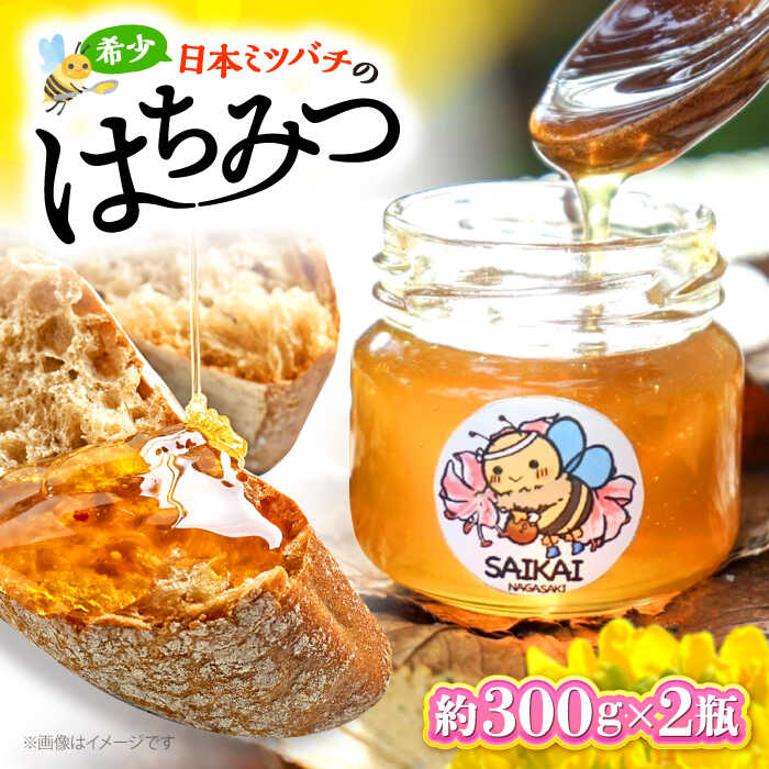 【ふるさと納税】【希少な日本ミツバチ】 国産 蜂蜜 約600g（約300g&times;2瓶） ～西海からの贈り物～＜おばま養蜂農園＞[CFY002] 長崎 西海 蜂蜜 はちみつ ハチミツ 蜂蜜 はちみつ ハチミツ 国産蜂蜜 贈答 ギフト｜長崎県西海市