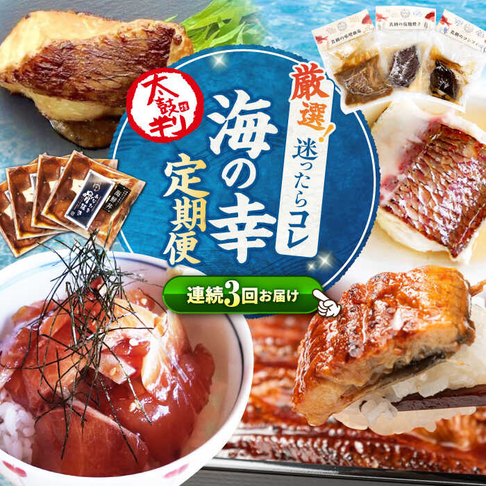 【ふるさと納税】【3回定期便】 海の幸 ～見つけた！西海の宝物 定期便 ～ [CZZ026] 長崎 西海 魚 海の幸 海鮮 加工品 うなぎ 海鮮丼 贈答 ギフト