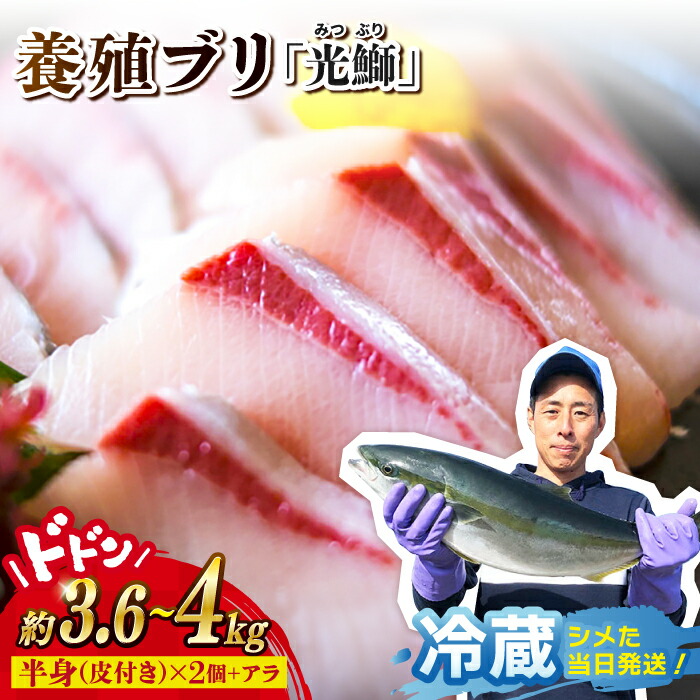 【ふるさと納税】【 着日指定可 】「光鰤」ブリ ブロック 皮付き 約3.6～4kg＜小山水産＞ [CDZ006] 長崎 西海 ブリ ぶり 鰤 鮮魚 新鮮 魚 刺身 ブロック 着日指定 産地直送 冷蔵