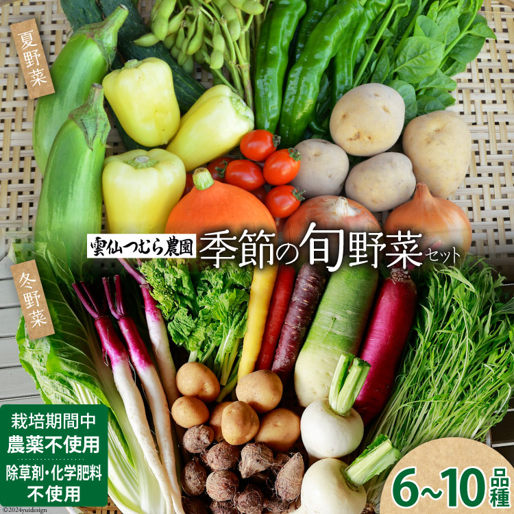 【ふるさと納税】季節の旬野菜セット 6～10品種 詰め合わせ 産地直送 [雲仙つむら農園 長崎県 雲仙市 item2200] やさい 西洋野菜 根菜 季節野菜 食べ比べ