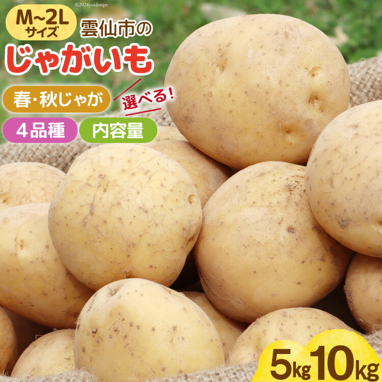 【ふるさと納税】【期間限定発送】 じゃがいも 選べる 春 秋  5kg ～ 10kg デジマ ニシユタカ アイマサリ ドラゴンレッド [宅島ファーム 長崎県 雲仙市 item1124] ジャガイモ 5キロ 10キロ 春じゃが 秋じゃが 長崎県産 期間限定 レビューキャンペーン