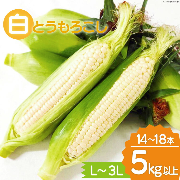 【ふるさと納税】【期間限定発送】 とうもろこし 雲仙市産 白とうもろこし 5kg 以上 L～3Lサイズ 14～18本 [トトノウ 長崎県 雲仙市 item2171] トウモロコシ ホワイトコーン コーン 野菜