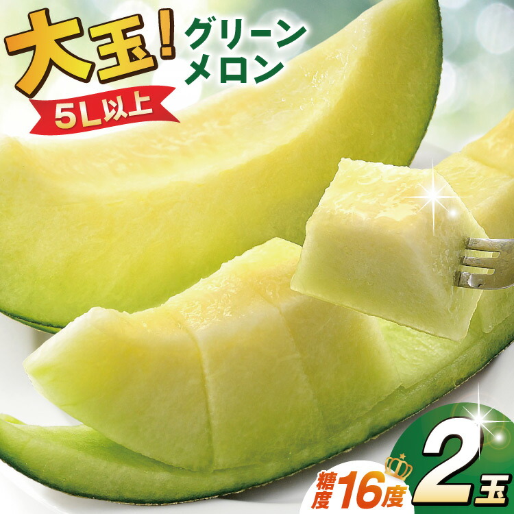 【ふるさと納税】【期間限定発送】グリーンメロン 糖度16度 5L (約2.2kg以上)×2玉 [栗林FLOWER 長崎県 雲仙市 item1937] メロン 青肉 フルーツ 果物 期間限定