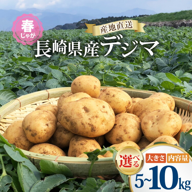 【ふるさと納税】【期間限定発送】 じゃがいも 5kg 10kg デジマ 選べる内容量 春じゃが[なんぐしデジマプロジェクトチーム 長崎県 雲仙市 item2057] ジャガイモ 5キロ 10キロ 春じゃがいも 長崎県産 期間限定 レビューキャンペーン