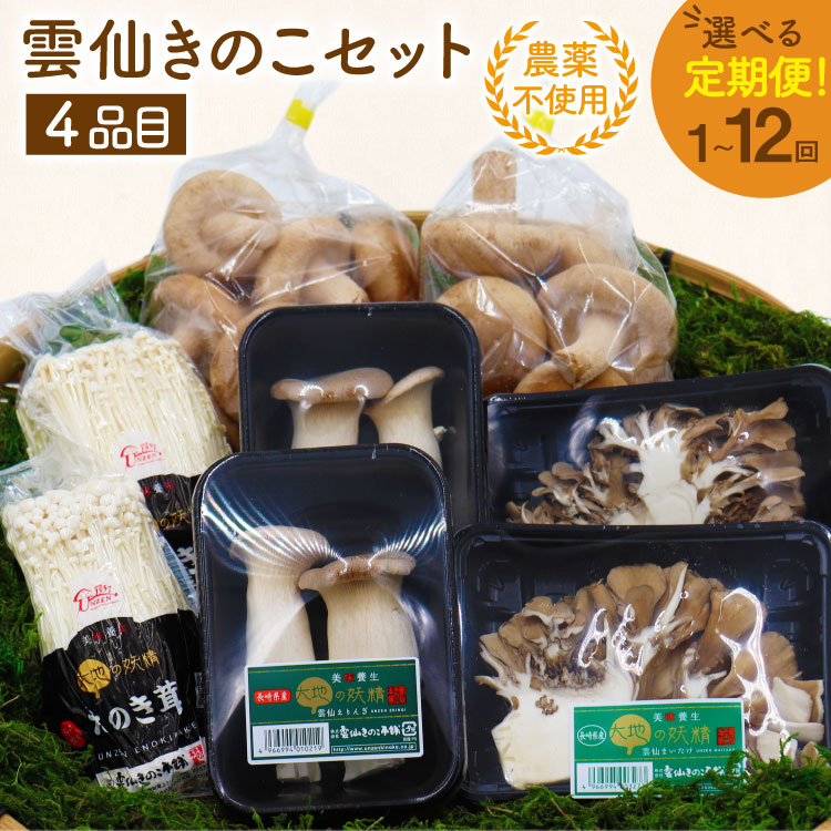 【ふるさと納税】雲仙 きのこ セット 4品目 選べる回数[吉岡青果 長崎県 雲仙市 item2060] 詰め合わせ キノコ しいたけ 椎茸 えのき エノキ マイタケ エリンギ 定期便 定期 3回 6回 12回 レビューキャンペーン
