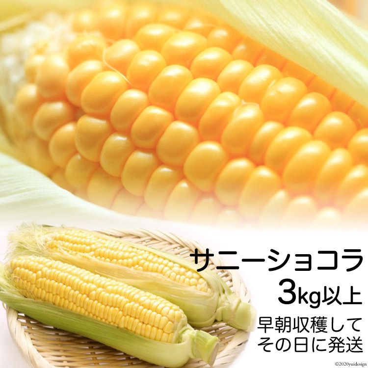 楽天市場】【ふるさと納税】定期便 3回 常備野菜 セット 約5kg 詰め合わせ / 吉岡青果店 愛野店 / 雲仙市 : 長崎県雲仙市