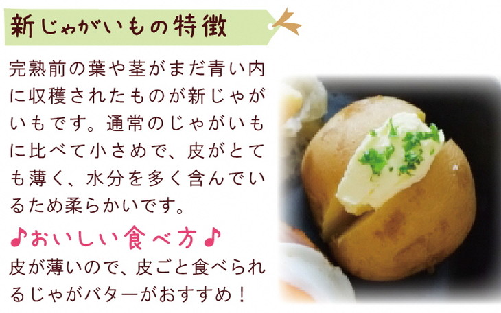 楽天市場 ふるさと納税 春の新野菜セット 新じゃがいも 新玉ねぎ 春人参の基本野菜に自慢の旬野菜を1品セットでお届け 約5kg 長崎県雲仙市