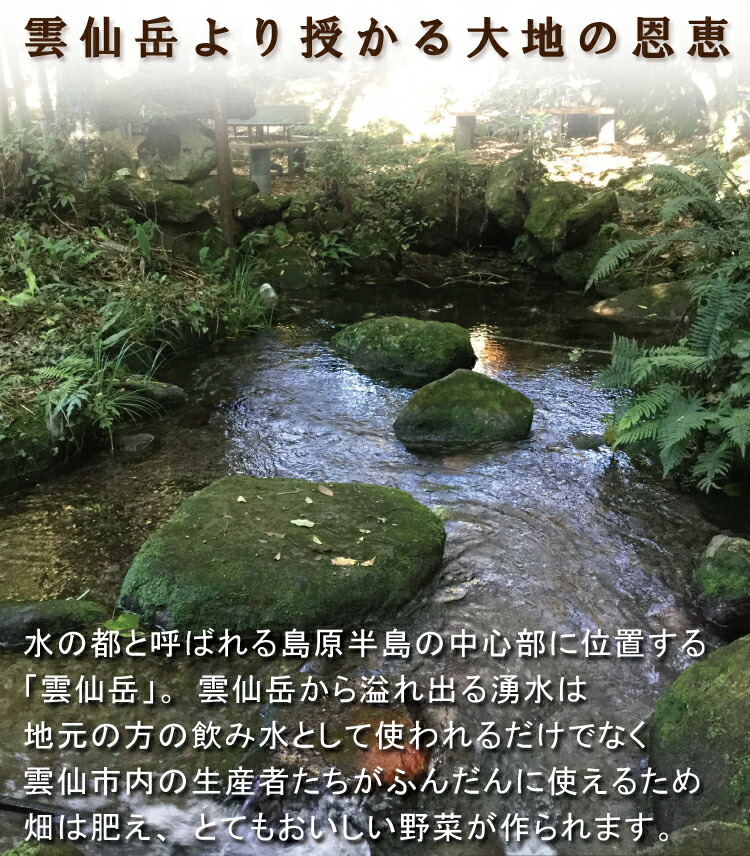 返礼品画像