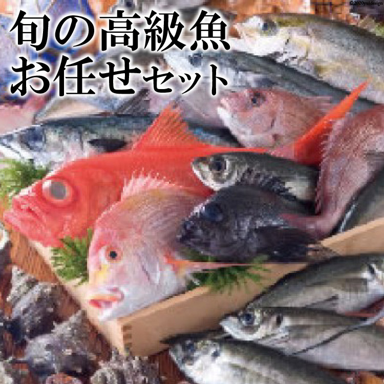 ふるさと納税 旬の高級魚お任せセット Relentlessvb Com