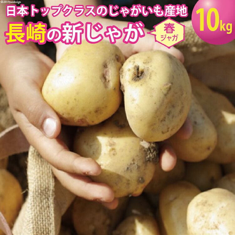 楽天市場】【ふるさと納税】定期便 3回 常備野菜 セット 約5kg 詰め合わせ / 吉岡青果店 愛野店 / 雲仙市 : 長崎県雲仙市