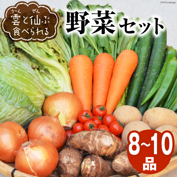 【楽天市場】【ふるさと納税】【12回毎月コース】旬の野菜