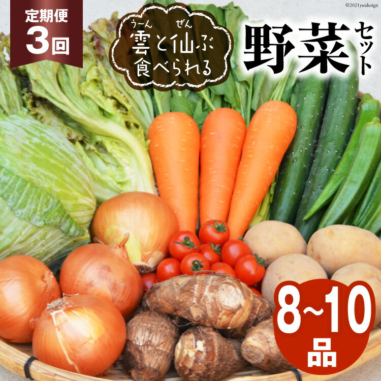 【ふるさと納税】3回 定期便 雲（う～ん）と仙（ぜん）ぶ食べられる 野菜セット 8～10品 [肥前グローカル 長崎県 雲仙市 item2201] 野菜セット 野菜 セット 詰め合わせ