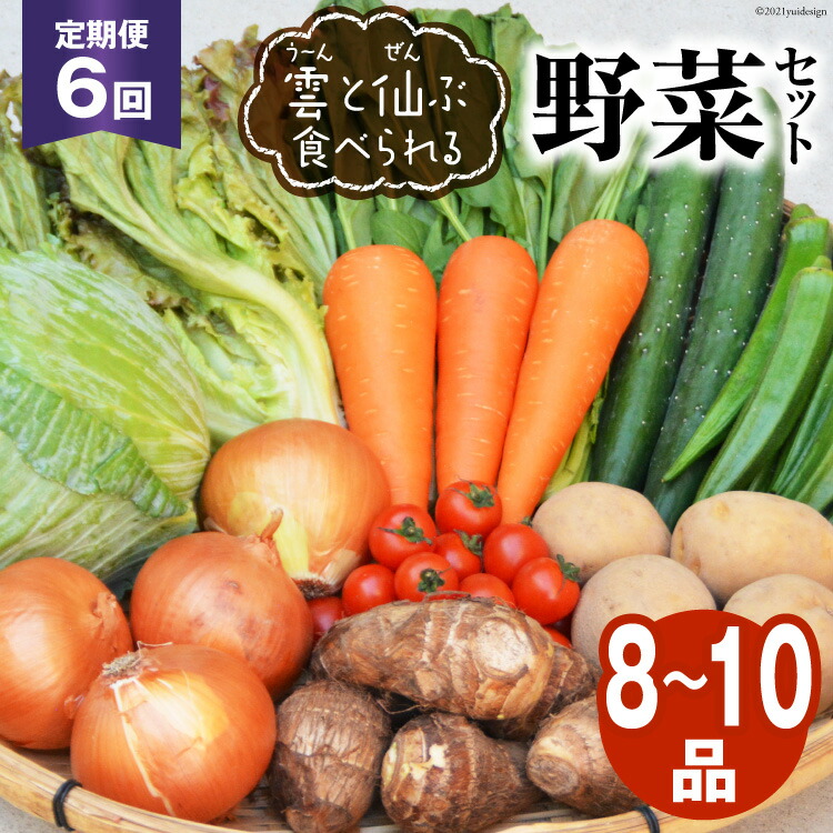【ふるさと納税】6回 定期便 雲（う～ん）と仙（ぜん）ぶ食べられる 野菜セット 8～10品 [肥前グローカル 長崎県 雲仙市 item2202] 野菜セット 野菜 セット 詰め合わせ