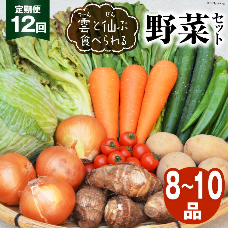 【ふるさと納税】12回 定期便 雲（う～ん）と仙（ぜん）ぶ食べられる 野菜セット 8～10品 [肥前グローカル 長崎県 雲仙市 item2203] 野菜セット 野菜 セット 詰め合わせ