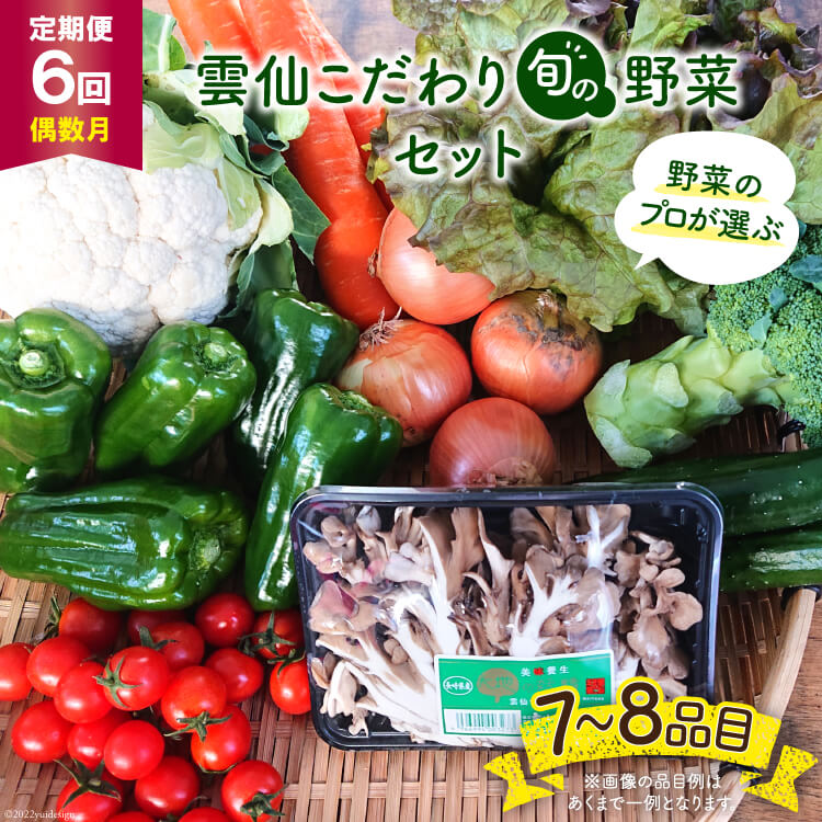 雲仙こだわり野菜セット 旬の野菜 7〜8品目 吉岡青果店 回 雲仙こだわり野菜セット 旬の野菜