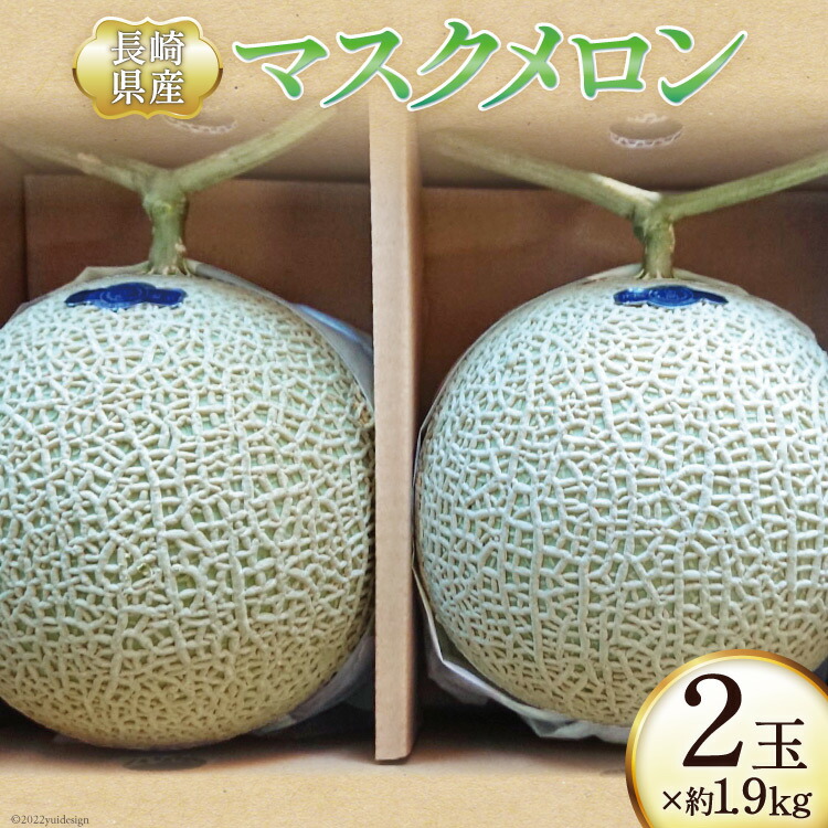 【ふるさと納税】【期間限定発送】メロン マスクメロン 約1.9kg×2玉 [シミズ farm 長崎県 雲仙市 item2042] フルーツ 果物 2玉