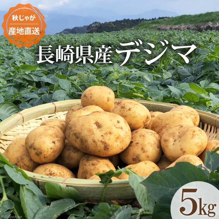 楽天市場】【ふるさと納税】定期便 3回 常備野菜 セット 約5kg 詰め合わせ / 吉岡青果店 愛野店 / 雲仙市 : 長崎県雲仙市