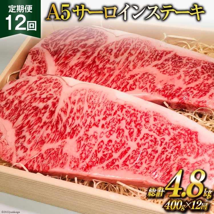 ふるさと納税 特選和牛＜平野幸一之牛＞サーロインステーキ（200g×3）合計600g＜焼肉薩摩＞【長崎県雲仙市】 長崎県雲仙市 