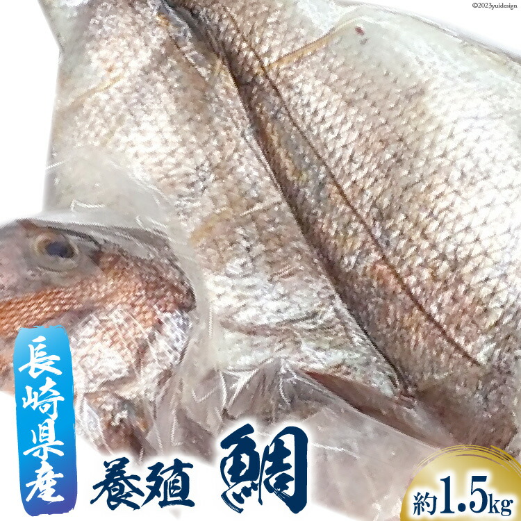 【ふるさと納税】鯛 フィーレ 1尾 約 1.5kg [田中鮮魚卸 長崎県 雲仙市 item1803] たい タイ 冷凍 フィレ