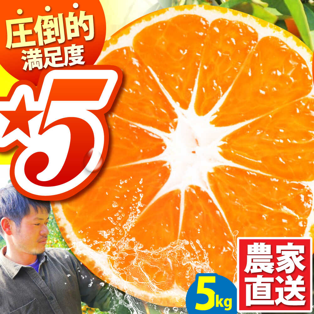 【ふるさと納税】【2025年10月下旬～発送】温州みかん 5kg / みかん ミカン 蜜柑 フルーツ 甘い 果物 / 南島原市 / 蜜柑屋まつお [SCQ001]