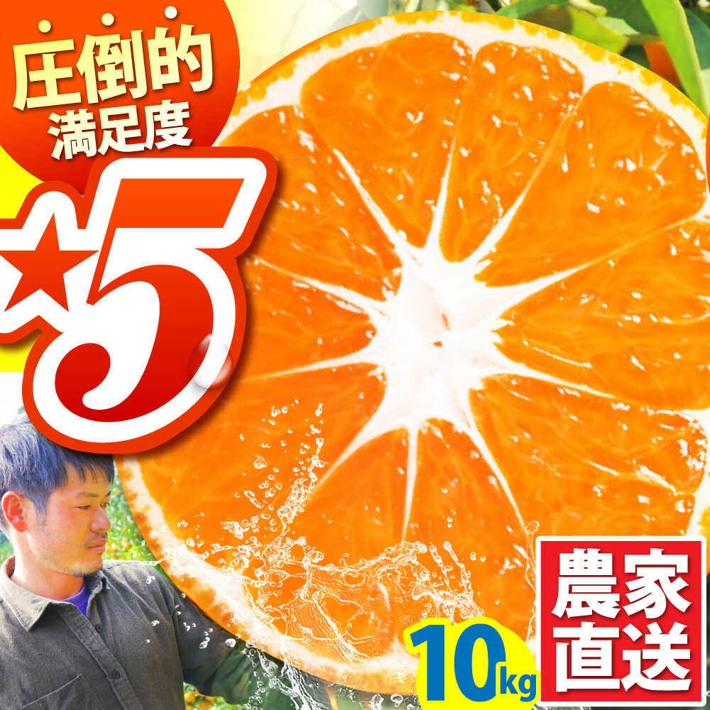 【ふるさと納税】【2025年10月下旬～発送】温州みかん 10kg / みかん ミカン 蜜柑 甘い フルーツ 果物 / 南島原市 / 蜜柑屋まつお [SCQ002]