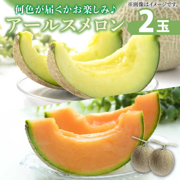 【ふるさと納税】【2025年11月下旬～発送】アールス メロン (2玉) / メロン めろん 青肉 果物 フルーツ / 南島原市 / JA島原雲仙東南部基幹センター [SAC004]