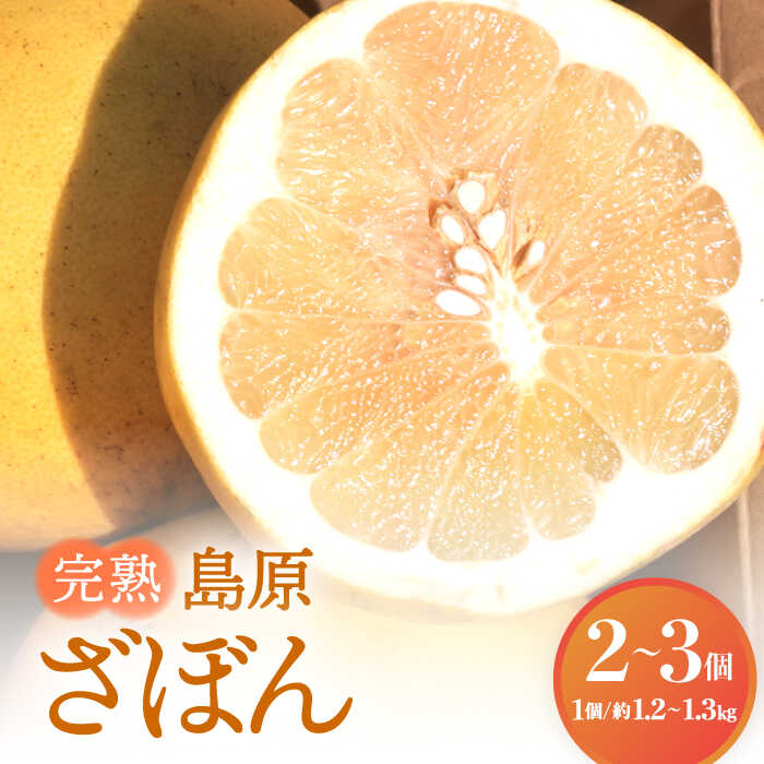 【ふるさと納税】【2025年12月中旬～発送】【ビタミンCたっぷり！】完熟 島原 ざぼん 2～3個 / くだもの 果物 フルーツ 常温 ギフト プレゼント 贈り物 南島原市 / 中邨 [SAG008]