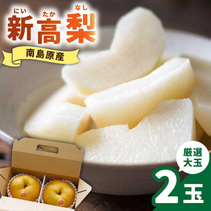【ふるさと納税】【2025年9月～発送】【シャリッと食感がたまらない！】新高梨 2玉 / 梨 なし くだもの 果物 フルーツ 常温 ギフト プレゼント 贈り物 / 南島原市 / ふるさと企画 [SBA007]