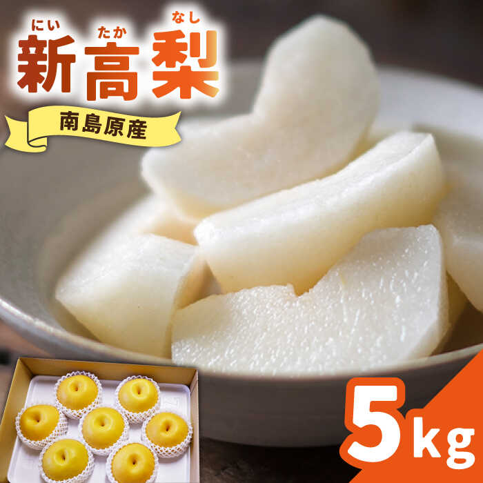 【ふるさと納税】【2025年9月～発送】シャリッと食感がたまらない！新高梨 5kg (玉数おまかせ) / 梨 なし くだもの 果物 フルーツ 常温 ギフト プレゼント 贈り物 / 南島原市 / ふるさと企画 [SBA012]