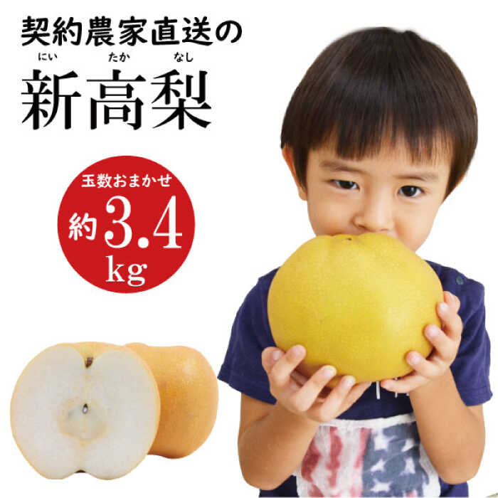 楽天市場】【ふるさと納税】【2025年9月〜発送】【南島原産】新 楽天市場】【ふるさと納税】【2025年9月〜発送】【南島原産】新