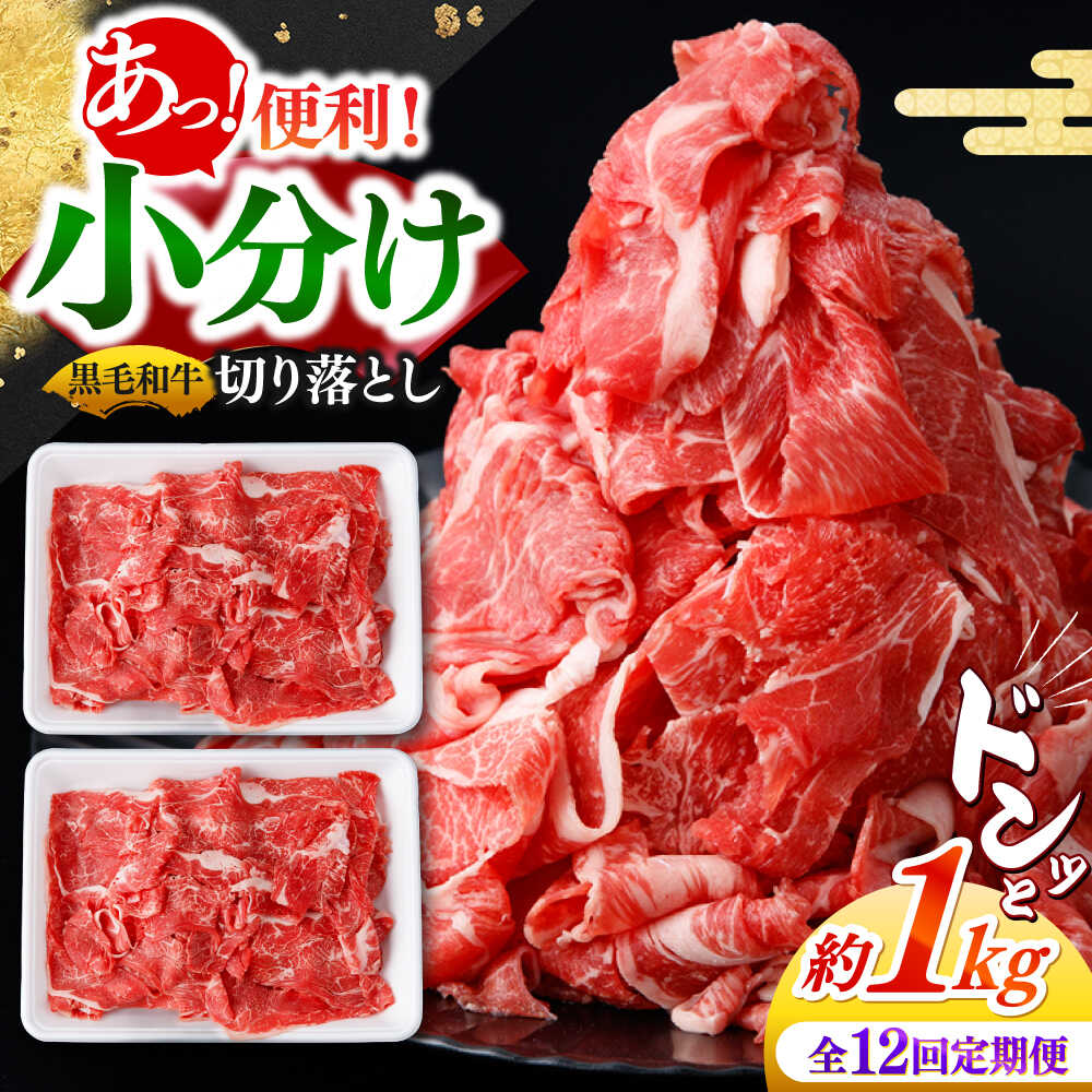 【ふるさと納税】【12回定期便】国産 黒毛和牛 熟成肉 切り落とし計1kg（500g×2パック）/ 小分け 国産牛 お肉 牛肉 切落し 冷凍 焼肉 すき焼き / 南島原市 / ふるさと企画[SBA097]