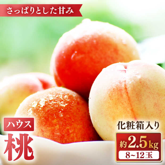 【ふるさと納税】【2025年5月下旬～順次発送】桃 特別栽培ハウスもも 約2.5kg 化粧箱入り  / 桃 もも モモ フルーツ 果物 旬 / 南島原市 / ふくはちファーム / 福島農園 [SBS006]