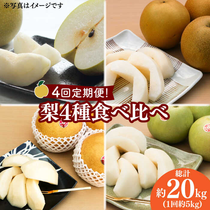 【ふるさと納税】【2025年7月～発送】【4回 定期便 ！南島原の 梨 を 食べ比べ ！】幸水 豊水 二十世紀 新高 / 梨 なし フルーツ 果物 フルーツ定期便 数量限定 産地直送 期間限定 / 南島原市 / 藤原果樹園 [SBV005]