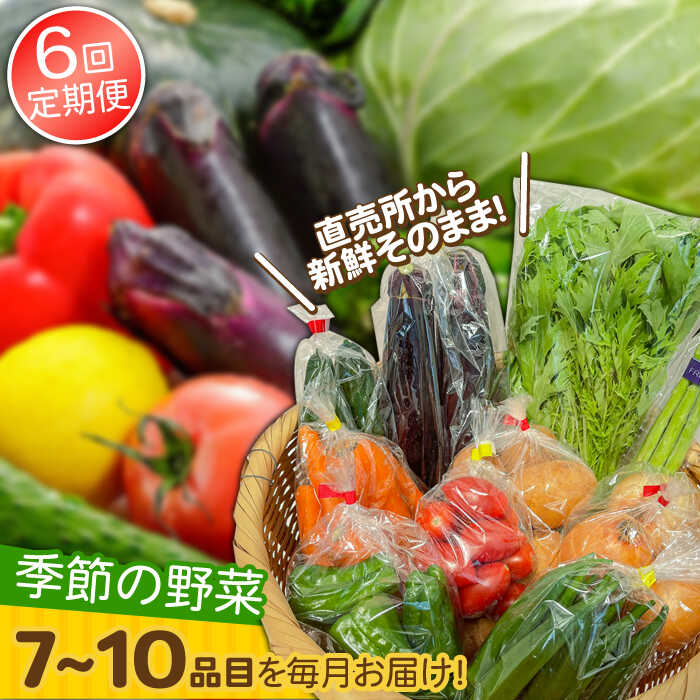 【ふるさと納税】【6回定期便】直売所より発送！季節の野菜セット 7～10品目 / 野菜定期便 やさい定期便 野菜 やさい 旬 詰め合わせ / 南島原市 / ながさき南部生産組合 [SBW004]