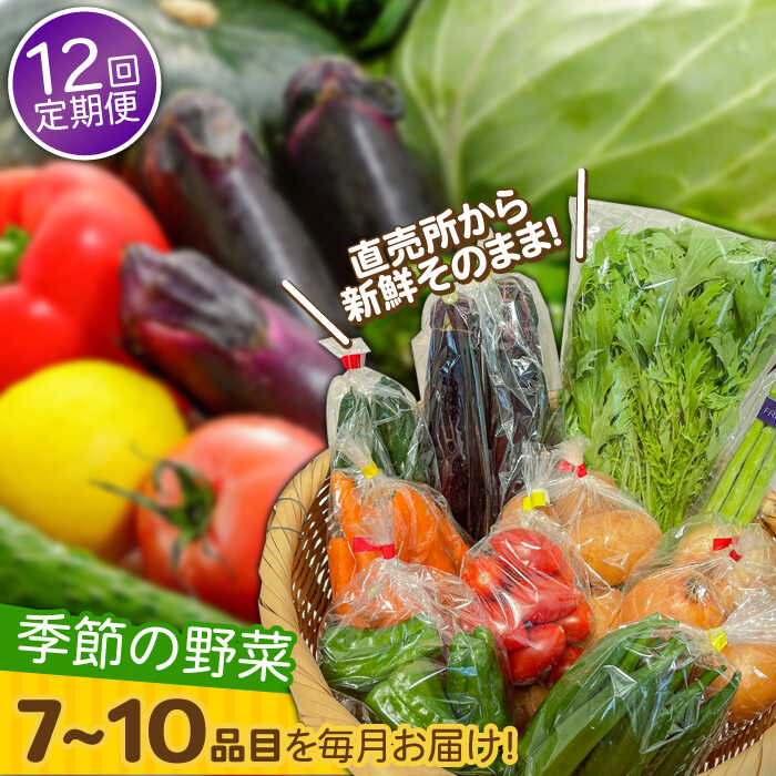 【ふるさと納税】【12回定期便】直売所より発送！季節の野菜セット 7～10品目 / 野菜定期便 やさい定期便 野菜 やさい 旬 詰め合わせ / 南島原市 / ながさき南部生産組合 [SBW005]
