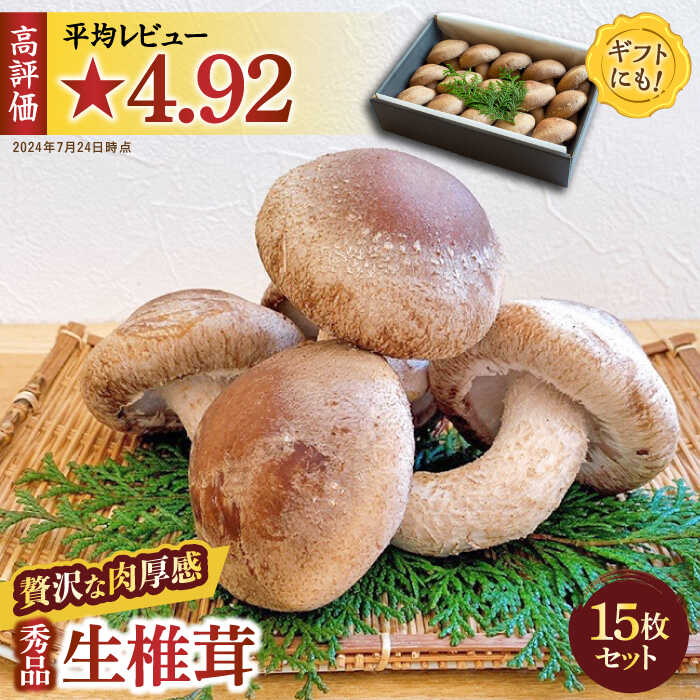 【ふるさと納税】【一度食べたら忘れられない】九州で唯一！ 希少な肉厚生椎茸 秀品15枚セット / 生しいたけ 生シイタケ きのこ キノコ 茸 / 南島原市 / サンエスファーム [SBX001]