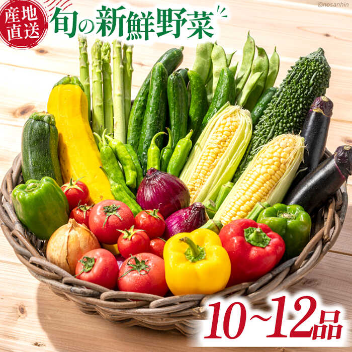 楽天市場】【ふるさと納税】 野菜 8 品目 | お楽しみ やさい
