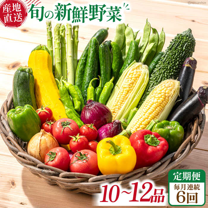 【ふるさと納税】【6回定期便】毎月連続 旬の新鮮 野菜詰め合わせセット（10品～12品）/ 野菜 定期便 やさい 定期便 野菜セット やさいセット 春野菜 夏野菜 秋野菜 冬野菜 旬新鮮 / 南島原市 /長崎県農産品流通合同会社 [SCB095] 39,000円