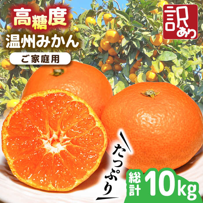 【ふるさと納税】【2025年11月下旬～発送】【高糖度】 温州みかん 約10kg（傷もの） / みかん 訳あり ミカン 蜜柑 長崎県産みかん 糖度 果物 くだもの フルーツ ふるーつ 旬 家庭用 10kg / 南島原市 / 南島原果物屋 [SCV015]