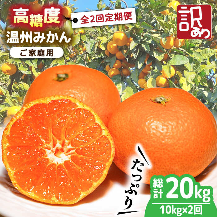 【ふるさと納税】【2025年12月～発送】【大満足！ 2回 定期便 】高糖度 温州みかん約10kg（傷もの）計約20kg / みかん 訳あり 定期便 ミカン 蜜柑 糖度 果物 くだもの フルーツ 旬  / 南島原市 / 南島原果物屋 [SCV016]