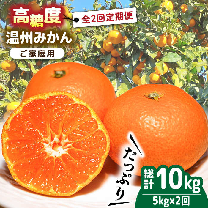 【ふるさと納税】【2025年12月～発送】【大満足！ 2回 定期便 】温州みかん 約5kg / みかん 定期便 ミカン 蜜柑 長崎県産みかん 糖度 果物 くだもの 果物定期便 フルーツ ふるーつ フルーツ定期便 旬 家庭用 5kg / 南島原市 / 南島原果物屋 [SCV017]